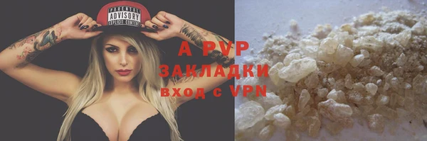 индика Беломорск