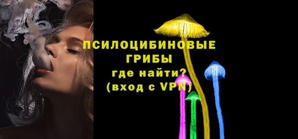 прущие грибы Белокуриха