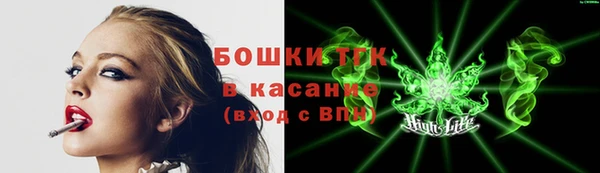 mix Богородицк
