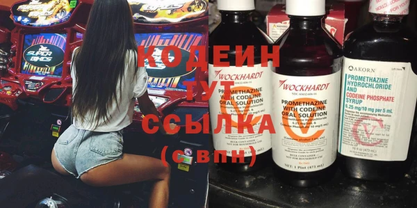 индика Беломорск