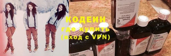 прущие грибы Белокуриха